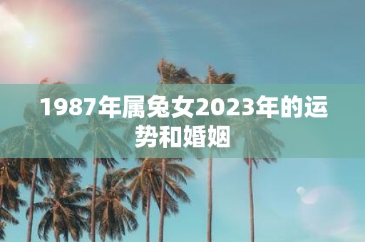 1987年属兔女2023年的运势和婚姻