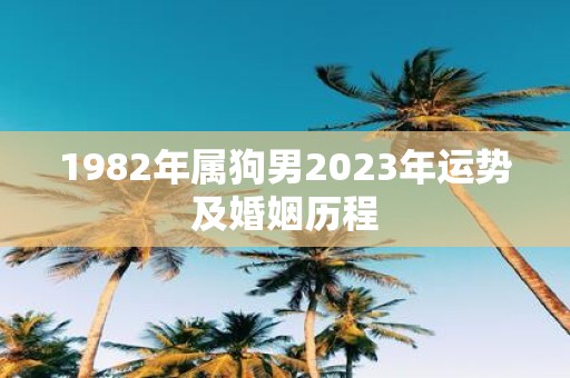 1982年属狗男2023年运势及婚姻历程