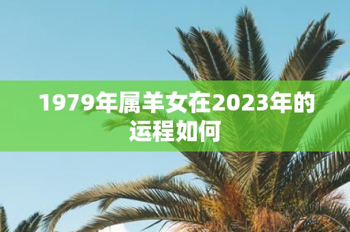 1979年属羊女在2023年的运程如何