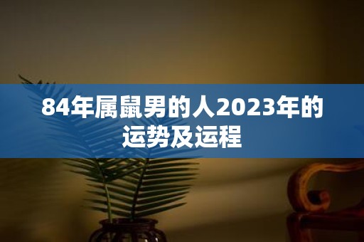 84年属鼠男的人2023年的运势及运程