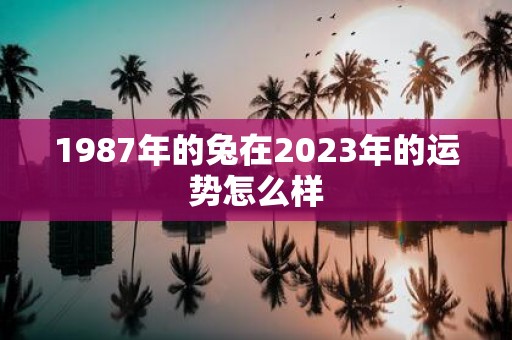 1987年的兔在2023年的运势怎么样