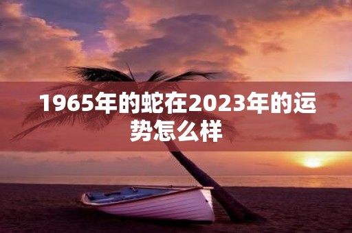 1965年的蛇在2023年的运势怎么样