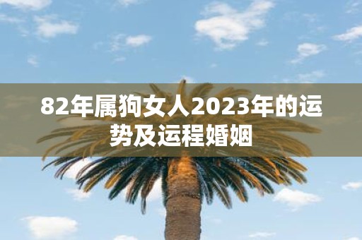 82年属狗女人2023年的运势及运程婚姻