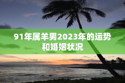 91年属羊男2023年的运势和婚姻状况