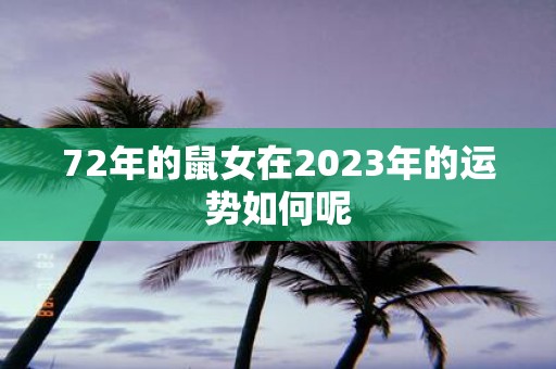 72年的鼠女在2023年的运势如何呢