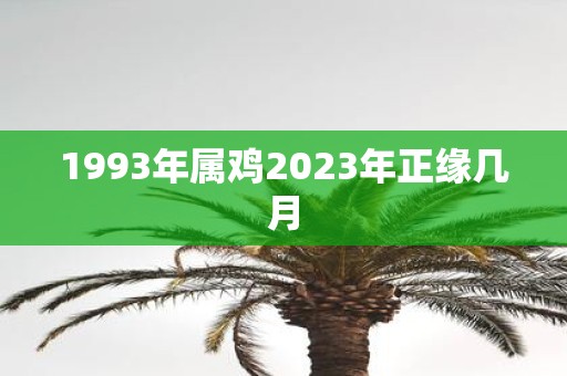 1993年属鸡2023年正缘几月