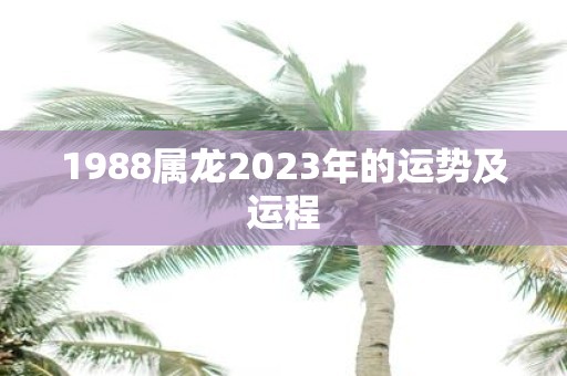 1988属龙2023年的运势及运程