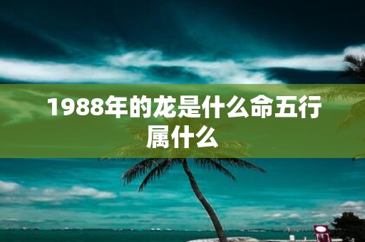 1988年的龙是什么命五行属什么