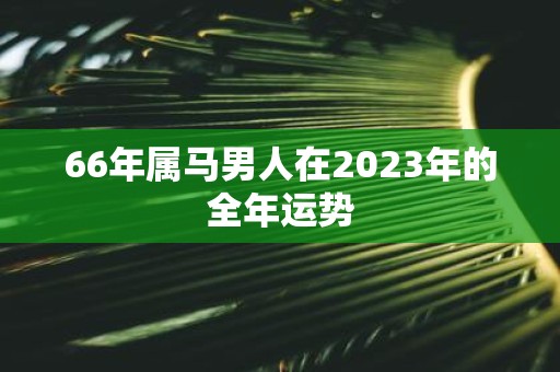 66年属马男人在2023年的全年运势