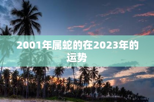 2001年属蛇的在2023年的运势