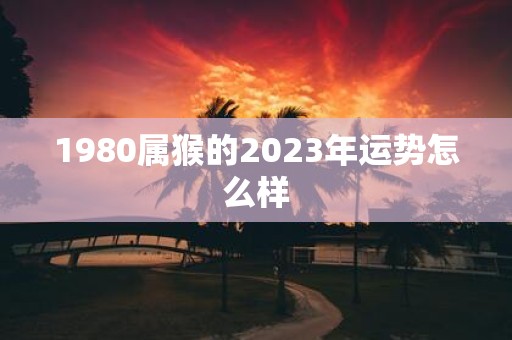 1980属猴的2023年运势怎么样