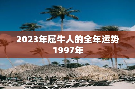 2023年属牛人的全年运势1997年